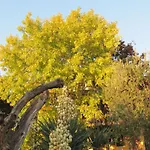 דירה Mit Blick Auf Den Gardasee By Interhome *