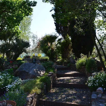 Mit Blick Auf Den Gardasee By Interhome דירה *
